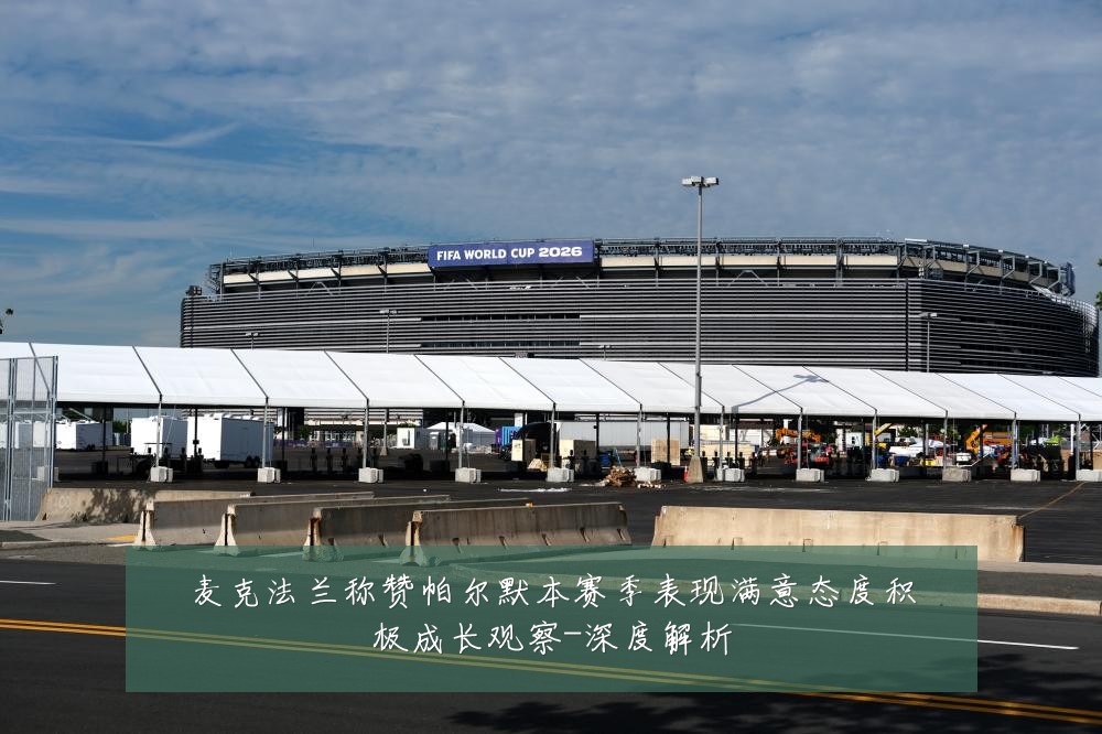 麦克法兰称赞帕尔默本赛季表现满意态度积极成长观察-深度解析